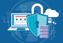 Chính sách người dùng